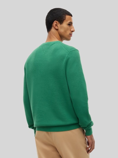 Mannenmodel draagt Regular Fit Pullover uit pure katoen van Tommy Hilfiger in groen, eenvoudige textuur, volledige rugaanzicht.