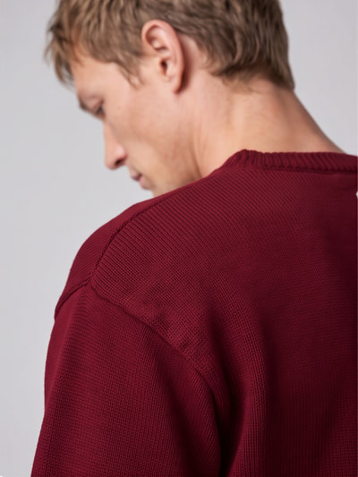 Don´t Waste Culture Sweatshirt mit Logo-Print Modell 'AROLOA' Dunkelrot 3