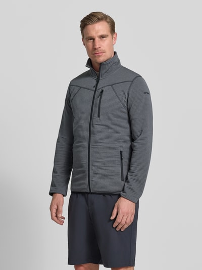 Icepeak Regular Fit Fleecejacke mit Stehkragen Modell 'Berthold' Stein 4