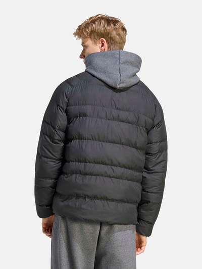 adidas Sportswear Steppjacke mit Kapuze Black 4