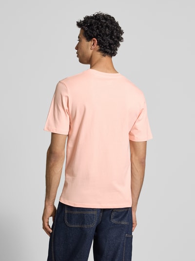 Männermodel trägt T-Shirt mit Statement-Print Modell 'RHYERES' von Jack & Jones in Rosa, Baumwolle, Regular Fit, Rückansicht, Ganzkörperansicht.