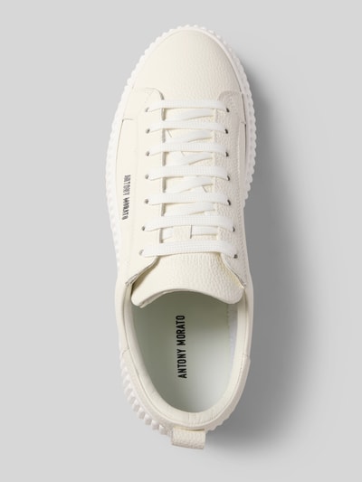 Productfoto, Sneaker uit leer model 'HOPPER' van Antony Morato voor heren, echt leer, afgeronde punt, vetersluiting, labeldetail, hakhoogte maat 44: 5 cm, schachthoogte maat 44: 8 cm, schachtbreedte maat 44: 7 cm, crème kleur, gestructureerd oppervlak, zicht van bovenaf