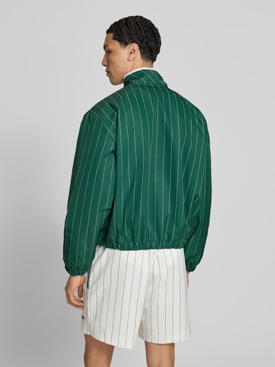 Männermodel trägt Jacke mit Streifenmuster und Reißverschluss von BLKVIS in Grün mit weißen Streifen, Regular-Fit, Stehkragen, Label-Stitching, Rückenlänge 61 cm, Ärmellänge 61 cm, Ganzkörperansicht Rückansicht.