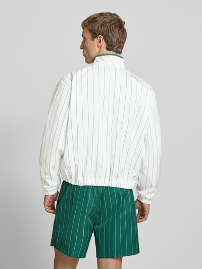 Männermodel trägt Jacke mit Streifenmuster und Reißverschluss von BLKVIS in Weiß und Grün, Regular-Fit, Stehkragen, Label-Stitching, Rückenlänge bei Größe M 61 cm, Ärmellänge 61 cm, Ganzkörperansicht Rückansicht.