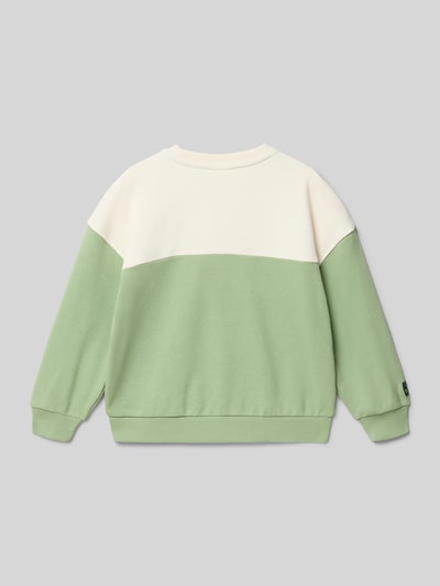 Junge trägt Relaxed Fit Sweatshirt aus Baumwoll-Mix von s.Oliver RED LABEL in Two-Tone-Optik mit Label-Patch, Ganzkörperansicht Rückansicht.