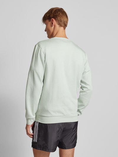 ADIDAS SPORTSWEAR Sweatshirt mit Label-Detail Lind 5