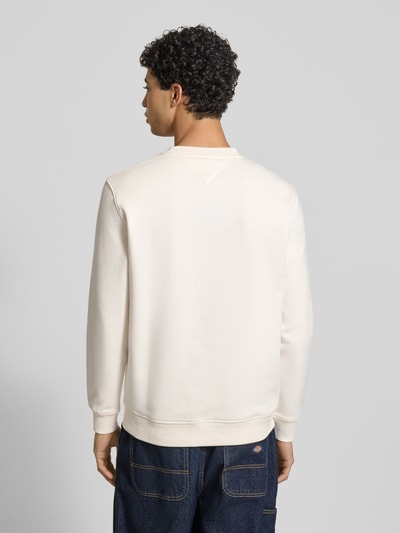 Männermodel draagt Regular Fit Sweatshirt aus katoenmix Model 'LINEAR CREW' van Tommy Jeans, look: effen, lange mouw, geribde rompzoom, applicatie met labelstitching, sweatmateriaal, achteraanzicht volledige lichaam