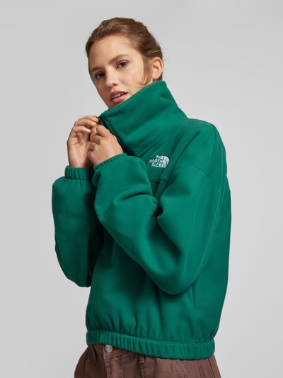 The North Face Cropped Sweatshirt mit Stehkragen Modell "Glacier" Gruen 3