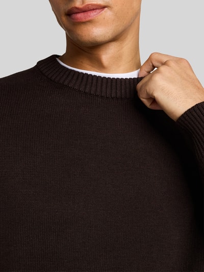 Tom Tailor Regular Fit Pullover aus reiner Baumwolle Dunkelbraun 3