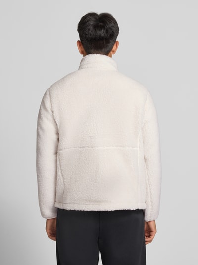 Männermodel trägt Fleecejacke mit Stehkragen und Brusttasche Modell 'EXTREME PILE' von The North Face, Teddyfell, Rückansicht.