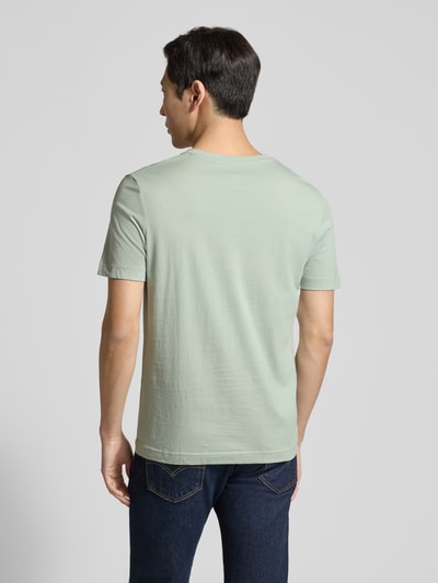 Tom Tailor Regular Fit T-Shirt aus reiner Baumwolle Lind 5