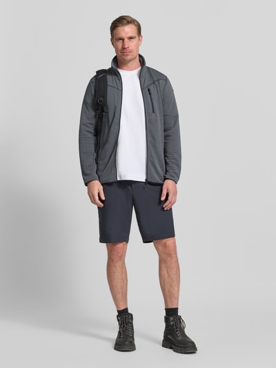 Icepeak Regular Fit Fleecejacke mit Stehkragen Modell 'Berthold' Stein 1