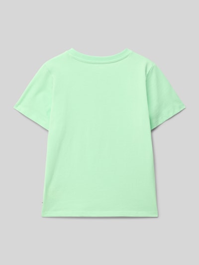 Tom Tailor T-shirt o kroju regular fit z czystej bawełny Jasnozielony 3