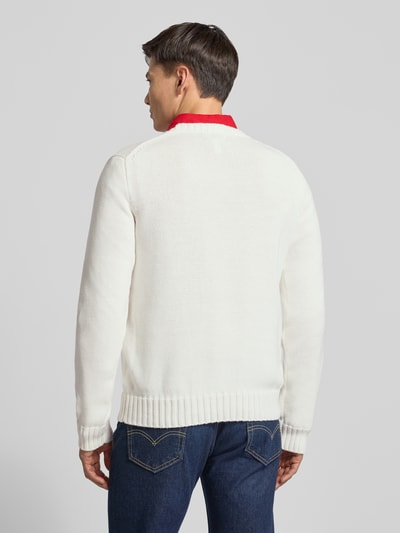 Męski model nosi Strickpullover mit Rundhalsausschnitt od Polo Ralph Lauren, czysta bawełna, regular fit, widok całej sylwetki z tyłu.