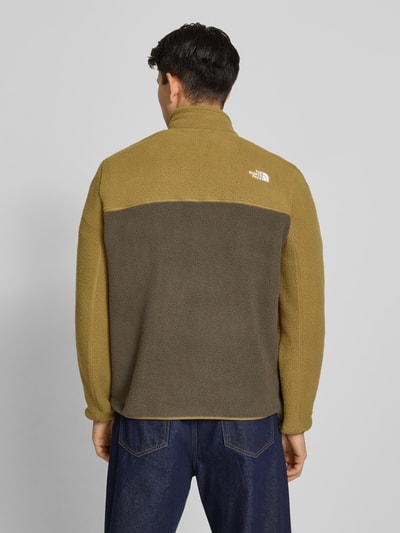 Męski model nosi Fleecepullover mit Brusttasche Modell 'YUMIORI' von The North Face w kroju regular fit, dwukolorowe odcienie oliwkowe, tekstura polaru, stójka, wyhaftowane logo, długość tyłu w rozmiarze M: 70 cm, długość rękawów 67 cm, widok całej sylwetki z tyłu.