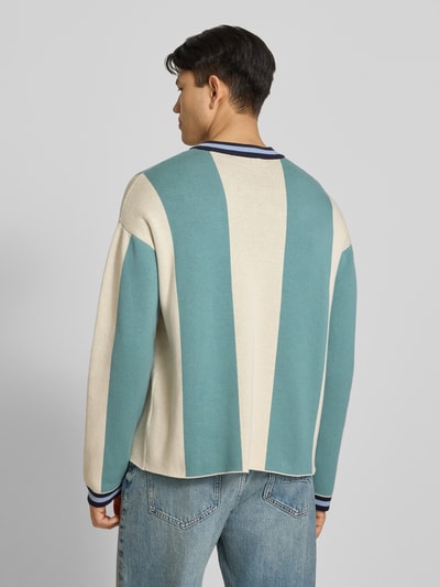 Männermodel trägt Strickpullover mit Label-Stitching Modell 'Overdrive' von PROHIBITED in Blau und Creme, Baumwolle, relaxed fit, Ganzkörperansicht Rückansicht.