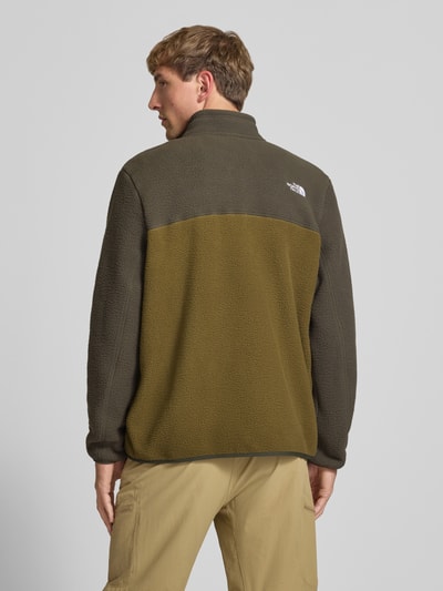Männermodel trägt Fleecejacke mit Stehkragen Modell 'YUMIORI' von The North Face, zweifarbig, lockere Passform, Ganzkörperansicht Rückansicht.