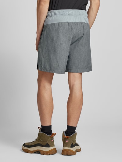 The North Face Regular Fit Shorts mit Label-Print Graphit 5