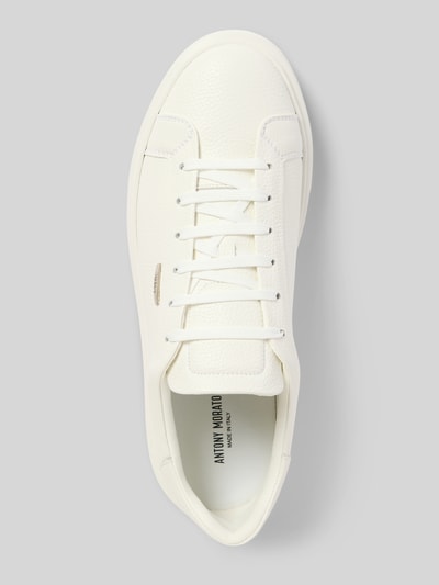 Produktfoto, Sneaker aus Leder mit Label-Detail Modell 'ARTEM' von Antony Morato, białe, zaokrąglony nosek, sznurowanie, faktura skóry, widok z góry, wysokość obcasa 4 cm, cholewka 8 cm, szerokość 7 cm.
