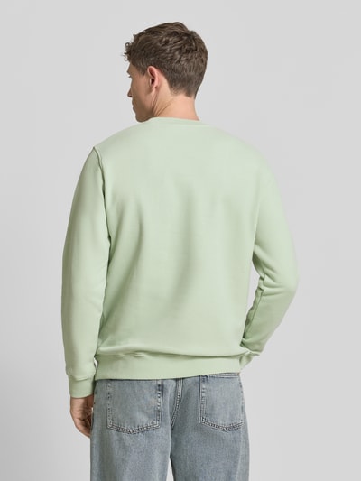 Männermodel trägt Regular Fit Sweatshirt aus reiner Bio-Baumwolle Modell 'BAARO LOOP' von Armedangels, hellgrün, Rückansicht Ganzkörperansicht.
