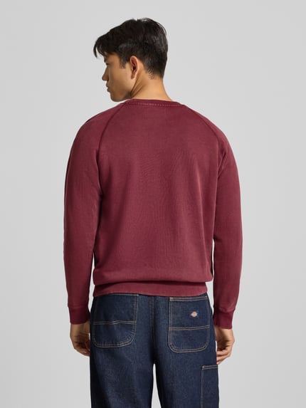 Mannenmodel draagt Regular Fit Sweatshirt uit zuiver katoen model 'Plush' van Replay in bordeaux, blauwe broek, rugaanzicht. Ruglengte maat M 66 cm, mouwlengte maat M 63 cm, ronde hals, elastische boorden.