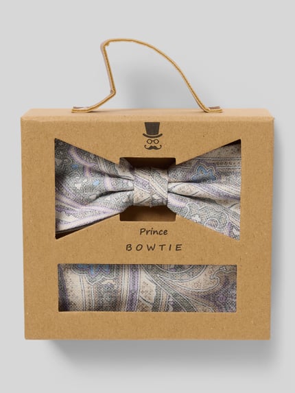 Prince Bowtie Fliege und Einstecktuch im Set Silber 1