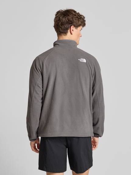 Männermodel trägt Fleecejacke mit Label-Stitching von The North Face, regular fit, grijston, recht oppervlak, rugaanzicht, ganzkörperansicht rückansicht.
