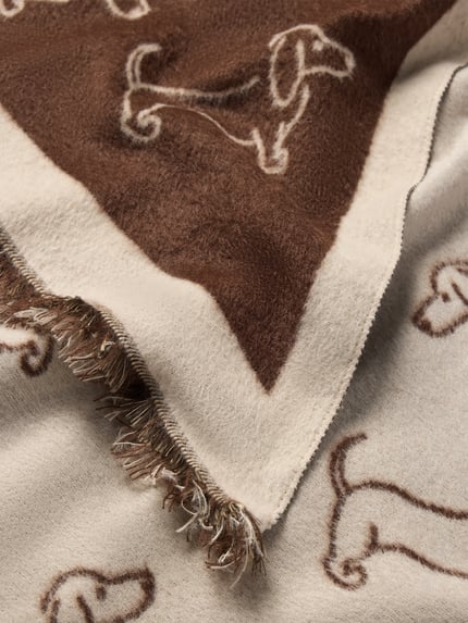 Produktfoto, Schal mit Fransen und Allover-Muster Modell 'SEPTEMBER' von MORE & MORE, rechteckig, braune und beige Farben, weiche Textur