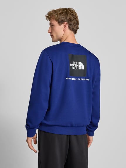 Männermodel trägt Regular Fit Hoodie mit Logo-Detail Modell "EVOLUTION BOX" von The North Face in Blau, Baumwoll-Mix, Ganzkörperansicht Rückansicht. Rückenlänge 62 cm, Ärmellänge 70 cm, elastische Abschlüsse, Rundhalsausschnitt.