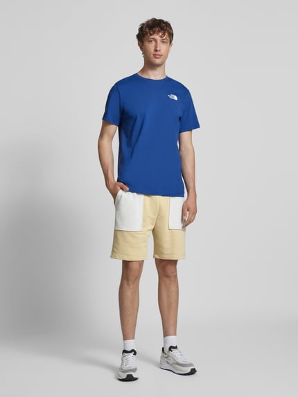 The North Face Szorty z dzianiny dresowej o kroju regular fit z nakładanymi kieszeniami model ‘TERRY’ Beżowy 1