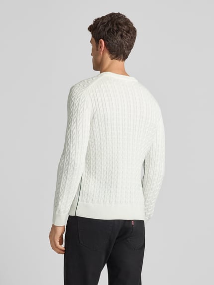 Männermodel draagt Regular Fit Strickpullover aus Baumwoll-Mix van Lacoste in effen kleur met kabelpatroon, katoenmix, logopatch, rompzoom; ganzkörperansicht rückansicht.