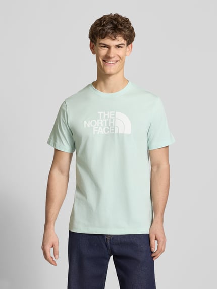 Männermodel trägt Regular Fit T-Shirt mit Logo-Print Modell 'Evolution' von The North Face, mintgrün, Baumwoll-Mix, Ganzkörperansicht von vorne.
