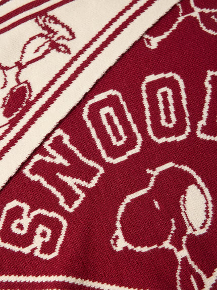 Produktfoto, Schal mit Viskose-Anteil im Allover-Look von Codello, Material-Mix, dreieckige Form, Strick-Optik, rot-beige Textur