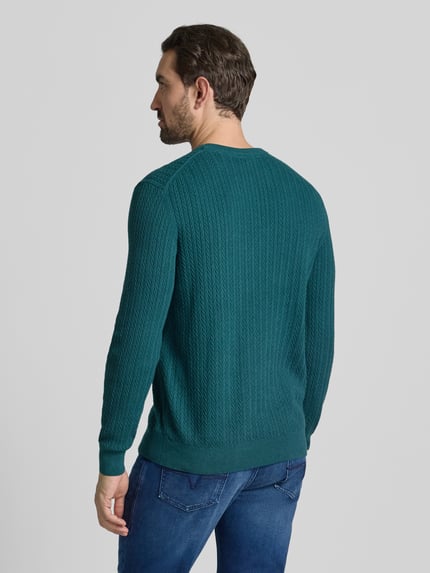 Męski model nosi Strickpullover mit gerippten Abschlüssen von Christian Berg Men, zielony, bawełna, regular fit, widok całej sylwetki z tyłu.