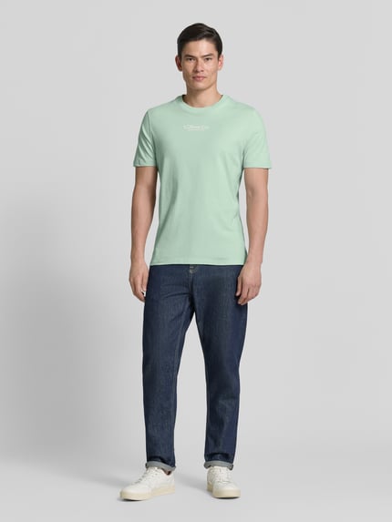Męski model nosi Regular Fit T-Shirt aus reiner Baumwolle od s.Oliver RED LABEL, gładka, jasnozielona, jersey, przód, pełna sylwetka.