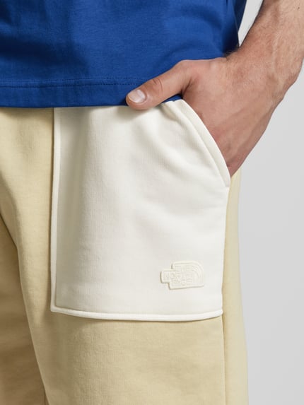 The North Face Szorty z dzianiny dresowej o kroju regular fit z nakładanymi kieszeniami model ‘TERRY’ Beżowy 3