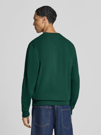 Männermodel trägt Regular Fit Sweatshirt aus reiner Baumwolle von Tommy Jeans in Dunkelgrün, glatte Struktur, Ganzkörperansicht Rückansicht. Herren Sweatshirt von Tommy Jeans
