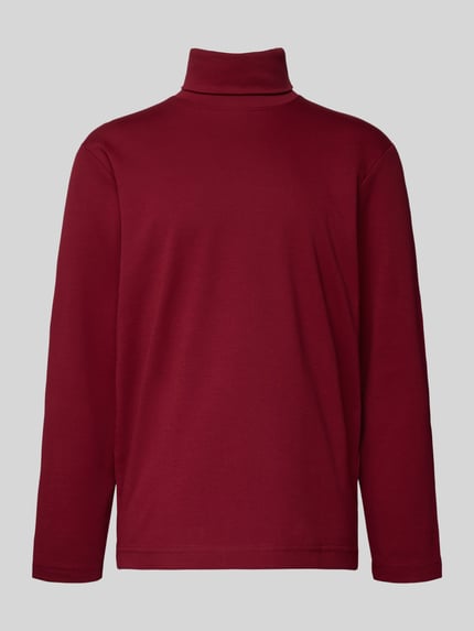 Productfoto, Regular Fit Rollkragenpullover aus Baumwoll-Mix van Tom Tailor, effen bordeaux, lange mouwen, katoenmix textuur.