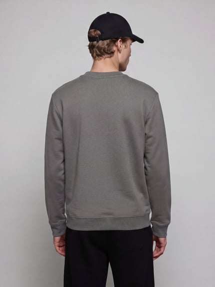 Mężczyzna nosi Regular Fit Sweatshirt aus reiner Baumwolle model 'Nodacrew' od HUGO, szara bluza, Herren Sweatshirt von HUGO Blue, widok całej sylwetki od tyłu