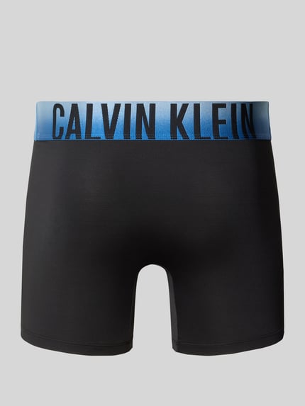 Produktfoto, Pant & Trunk mit elastischem Label-Bund im 3er-Pack Modell 'BOXER BRIEF' von Calvin Klein Underwear, schwarzer Stoff, blauer Bund, klare Linien, glatte Textur, Herren Pant & Trunk von Calvin Klein Underwear