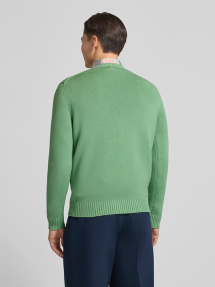 Männermodel trägt Strickpullover mit gerippten Abschlüssen van Polo Ralph Lauren in groen, katoenen stof, regular fit, ganzkörperansicht rückansicht.
