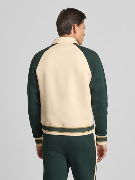 Mężczyzna nosi Regular Fit Sweatjacke aus Baumwoll-Mix von Lacoste w kolorach kremowym i zielonym, tekstura miękka, Ganzkörperansicht Rückansicht.