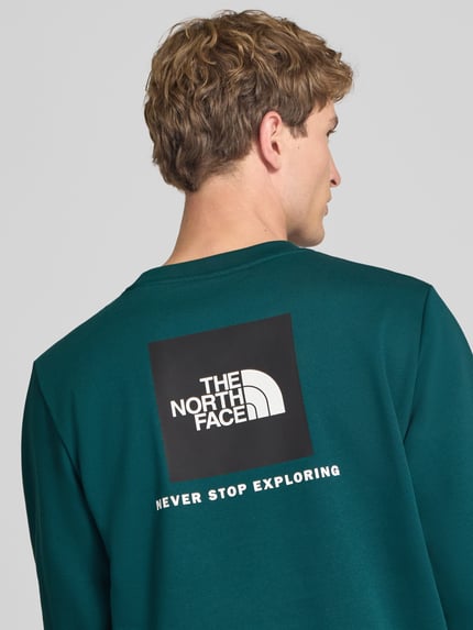 Männermodel trägt Regular Fit Hoodie mit Logo-Detail Modell "EVOLUTION BOX" von The North Face, Baumwoll-Mix, Rückansicht, Nahaufnahme Oberkörper.