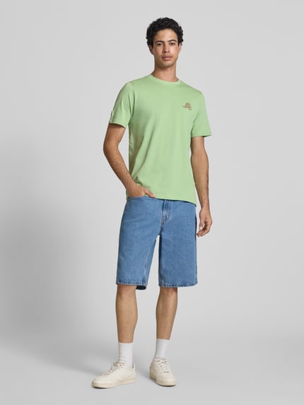 Männermodel trägt T-Shirt mit Motiv-Print Modell 'SUN SURF' von Blend, reine Baumwolle, Regular Fit, mintgrün, Ganzkörperansicht von vorne