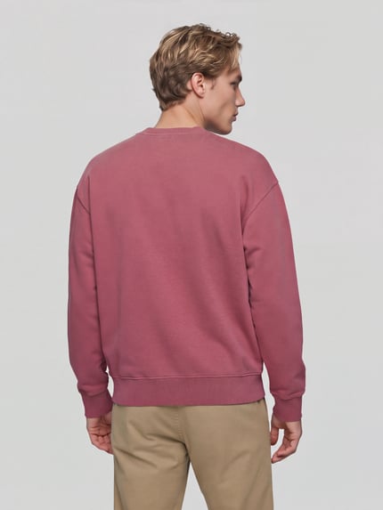 ARMEDANGELS Sweatshirt mit Logo-Stitching ICONIC GMT Altrosa 5