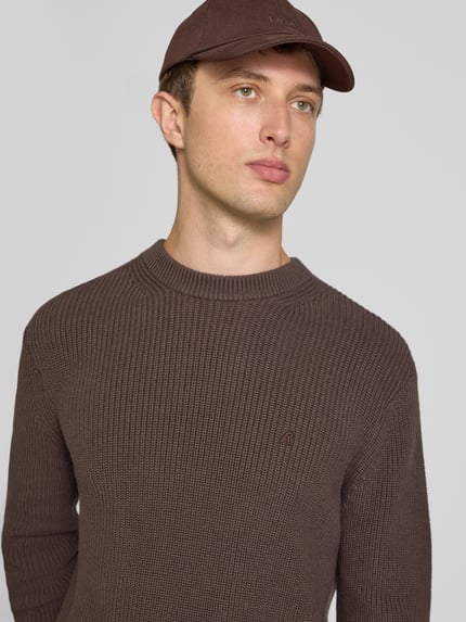 Männermodel trägt Slim Fit Pullover aus reiner Baumwolle in Strick-Optik von Replay, braun, feine Struktur, Logo-Stitching, Nahaufnahme Oberkörper.
