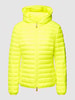SAVE THE DUCK Steppjacke mit Label-Patch Modell 'KYLA' Neon Gelb