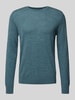 s.Oliver BLACK LABEL Regular Fit Strickpullover aus reiner Schurwolle Bottle