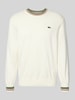 Lacoste Regular fit gebreide pullover van zuiver katoen Offwhite