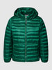 Tommy Hilfiger Curve PLUS SIZE donsjack met labelstitching, model 'FEMININE' Donkergroen